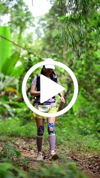 BIB:  <button type="button" onclick="openModal(26824510)" class="btn btn-primary btn-sm float-right" data-toggle="modal" data-target=".modal-high-quality">
                <i class="fa fa-download"></i> Download
                </button>